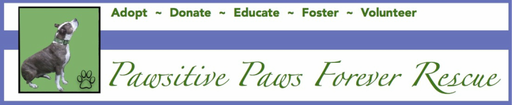 Pawsitive Paws Forever Rescue